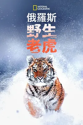 东京热A中出