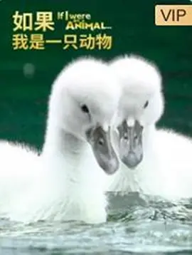 亚洲青在线