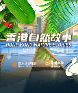 欧美整理厨房图片视频在线观看