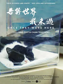 国产日韩一直在线观看