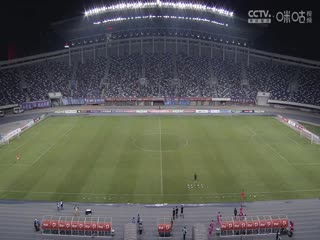 无码免费视频黄在线