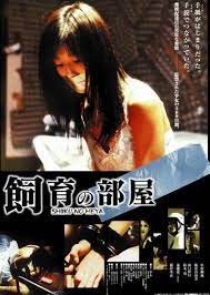 久热这里只有精品99re6