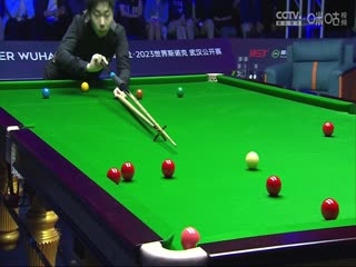 爱宠福利直播视频