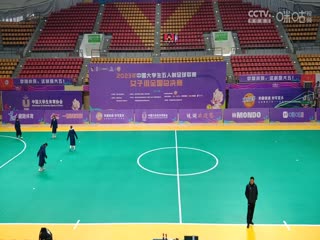 国产情趣片网站