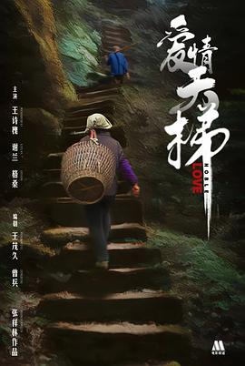 无码四虎美播