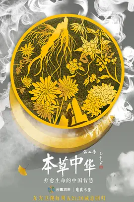 亚洲精品另类bt