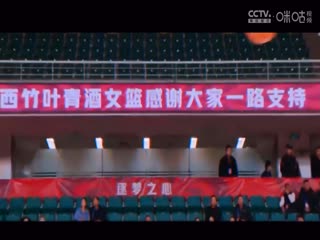 侵犯一区在线观看