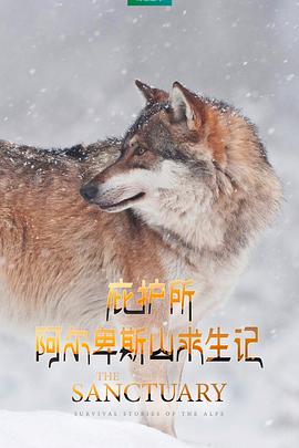 亚洲v片在线视频